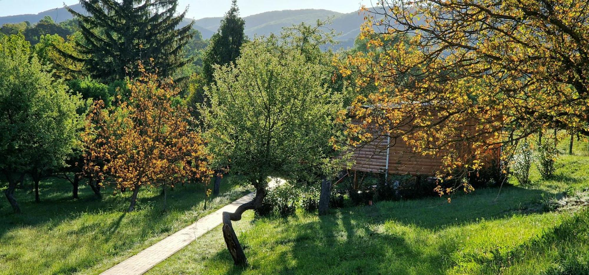 Reteskert Vendeghaz Es Apartman Belapatfalva Bagian luar foto